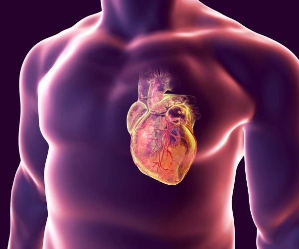 arrêt_cardiaque_causé_par_le_tabagisme