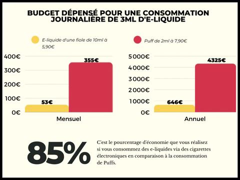 Budget_depense_depuis_le_debut_de_l_annee_1_8552d2a5-5a5d-4907-9b8a-929a5b9bf2ec_480x480