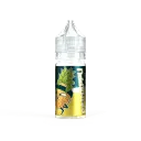 Concentré Painappu 30ml - Kung Fruits — vue 1
