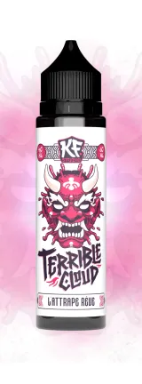 E-liquide Attrape Rêve 50 mL - Terrible Cloud — vue 2